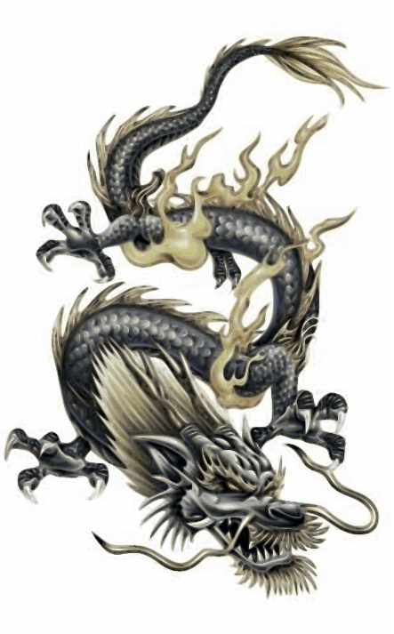 Chinese Dragon Tattoo Designs For Women