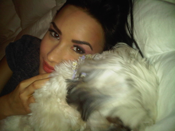 Demi Lovato Eyebrows