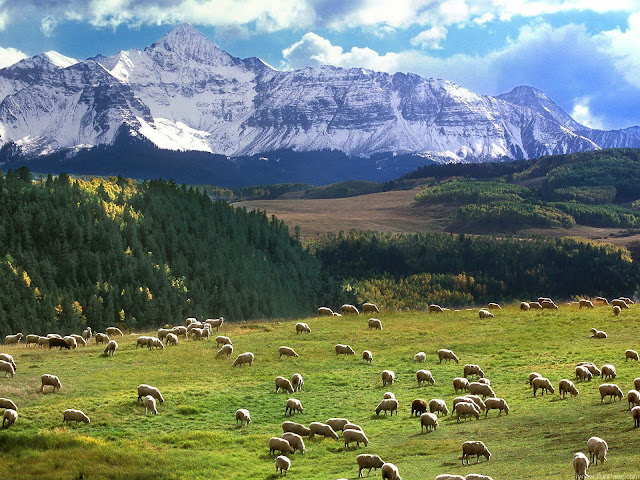 Desktop Wallpaper Free Download Nature