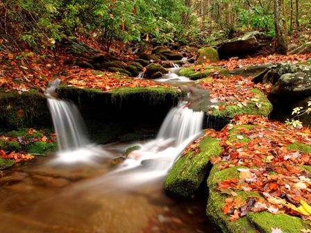 Desktop Wallpaper Free Download Nature