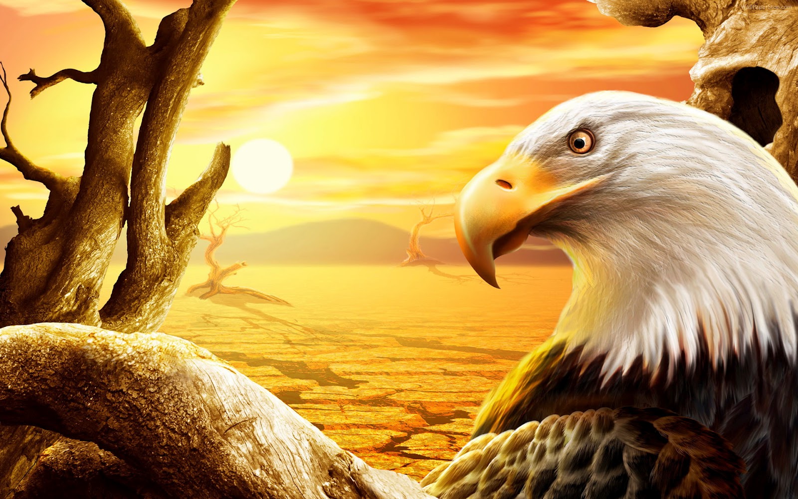 Desktop Wallpaper Hd 3d Full Screen