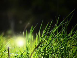 Desktop Wallpaper Hd Animated