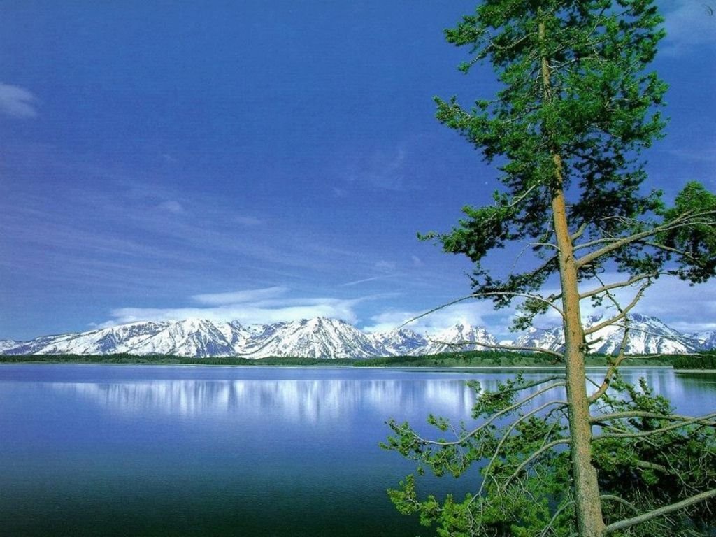 Desktop Wallpaper Nature