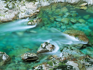 Desktop Wallpaper Nature Full Size