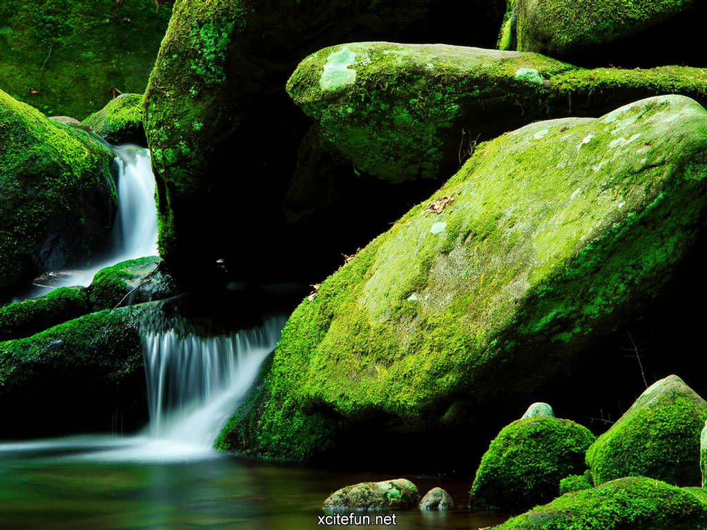Desktop Wallpaper Nature Green