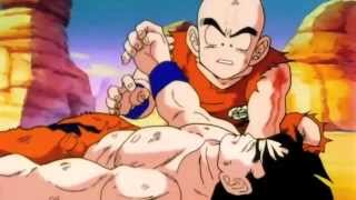 Dragon Ball Gt Vegeta Vs Gohan