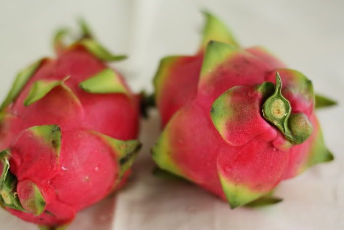 Dragon Fruit Cartoon