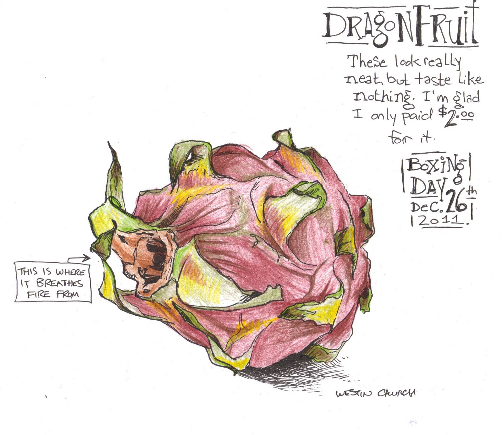 Dragon Fruit Cartoon