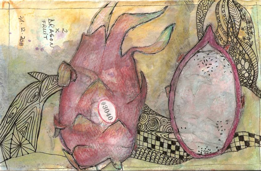 Dragon Fruit Drawing