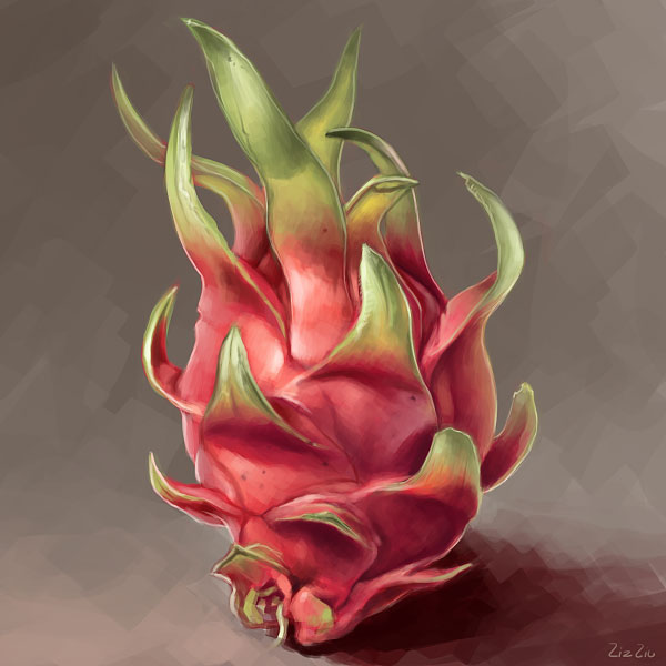 Dragon Fruit Drawing