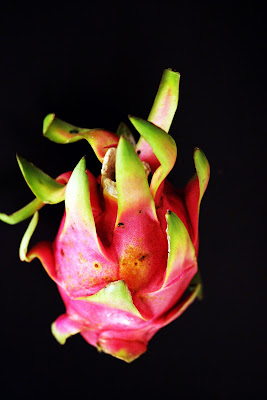 Dragon Fruit Drawing