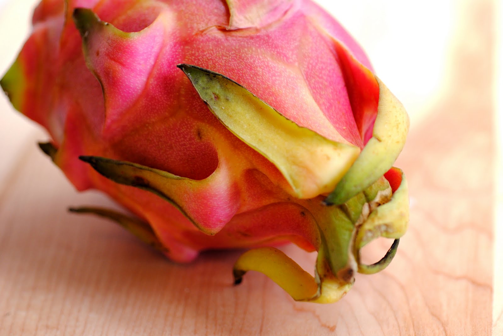 Dragon Fruit Flowers Drop Off
