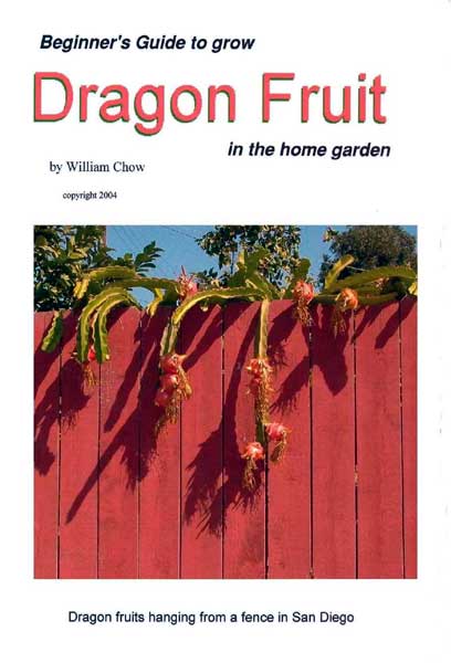 Dragon Fruit Plant Care