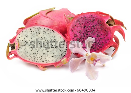 Dragon Fruit Plant For Sale