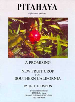 Dragon Fruit Plant San Diego