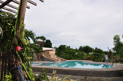 Dragon Fruit Plantation Ilocos