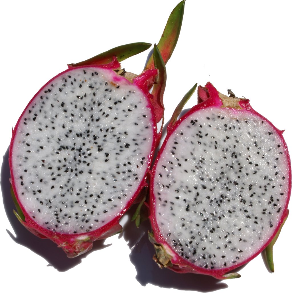 Dragon Fruit Tree California