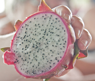 Dragon Fruit Tree For Sale Houston
