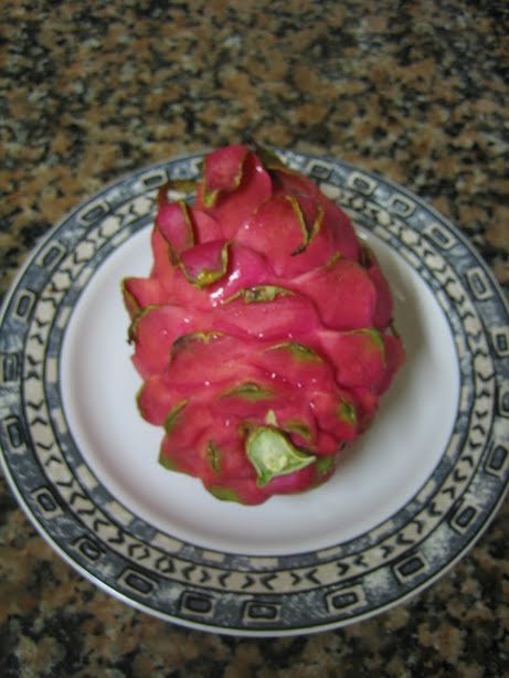 Dragon Fruit Tree Growing