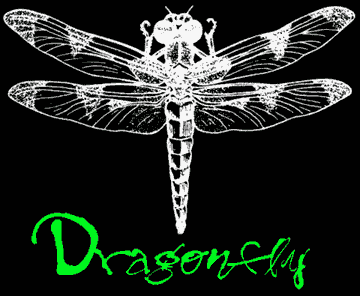 Dragonfly Art