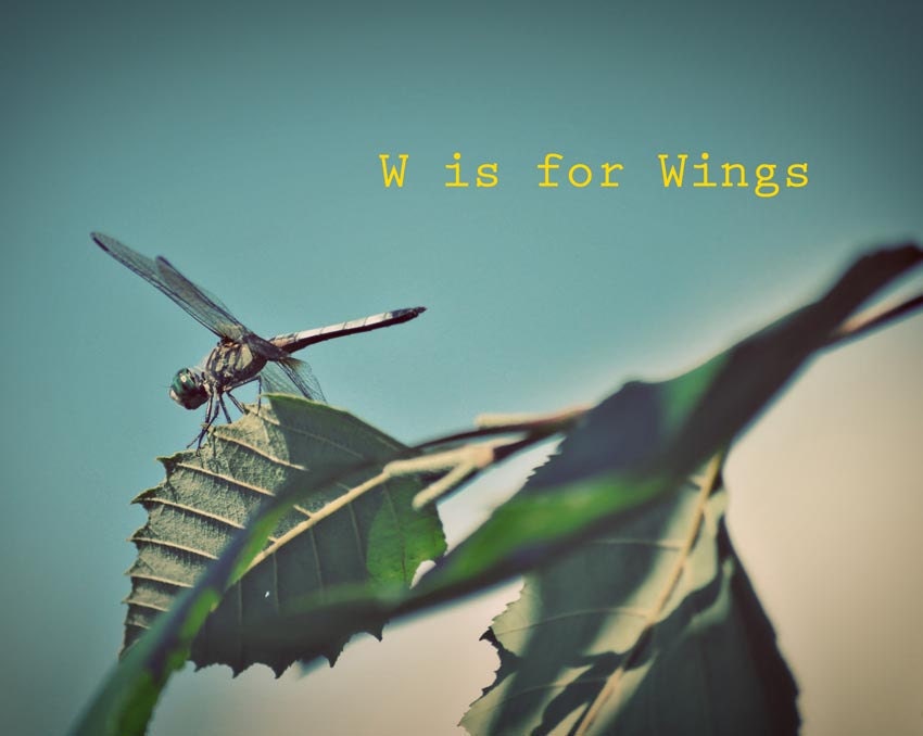 Dragonfly Art For Kids