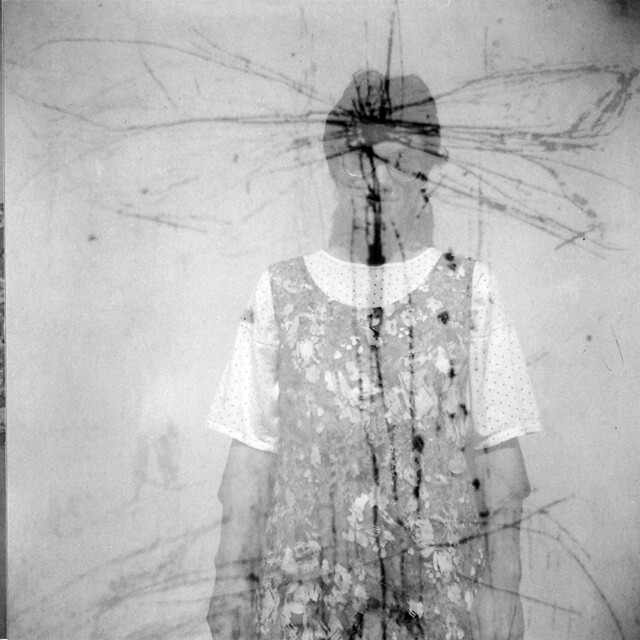 Dragonfly Artist