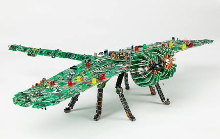 Dragonfly Artist