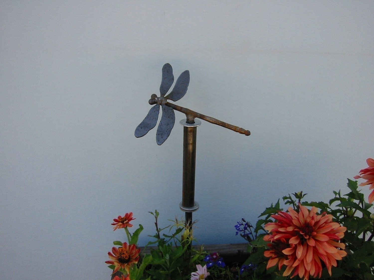 Dragonfly Artistic Metals Saskatoon
