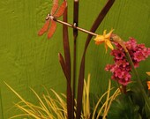 Dragonfly Artistic Metals Saskatoon