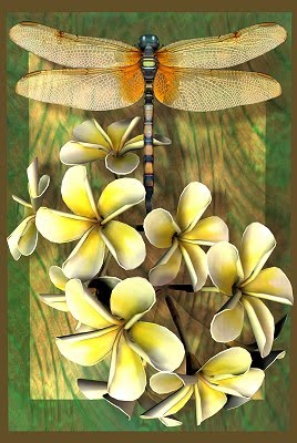 Dragonfly Artwork