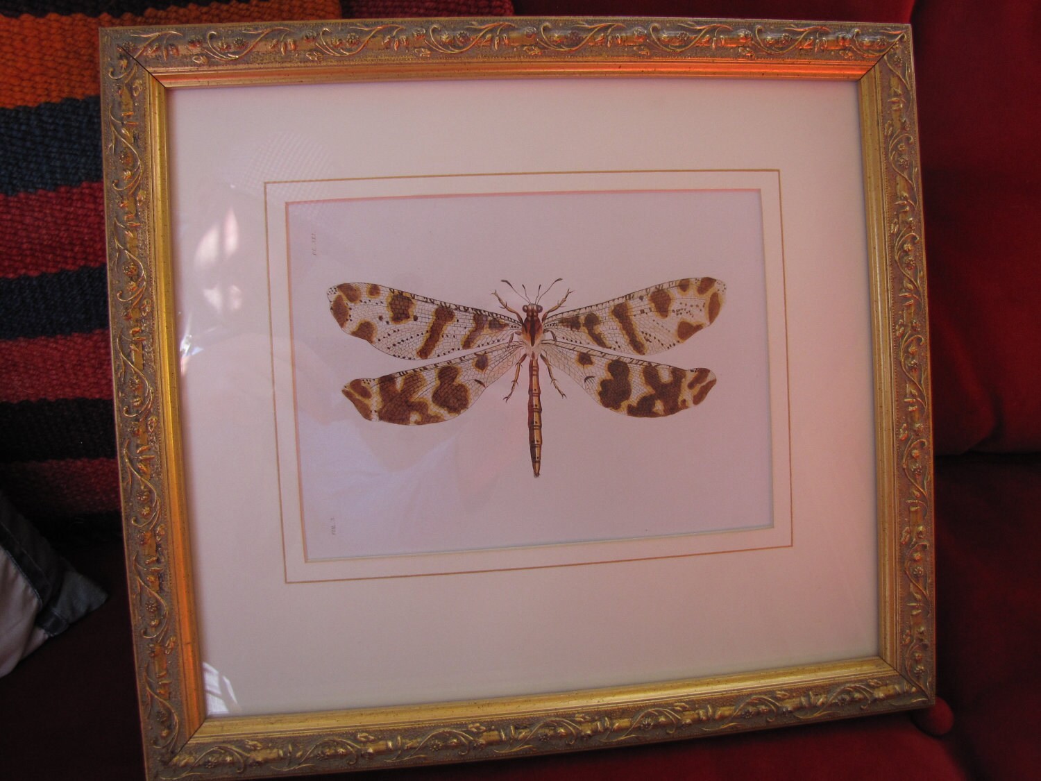 Dragonfly Artwork Framed