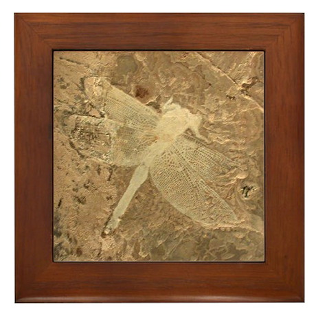 Dragonfly Artwork Framed