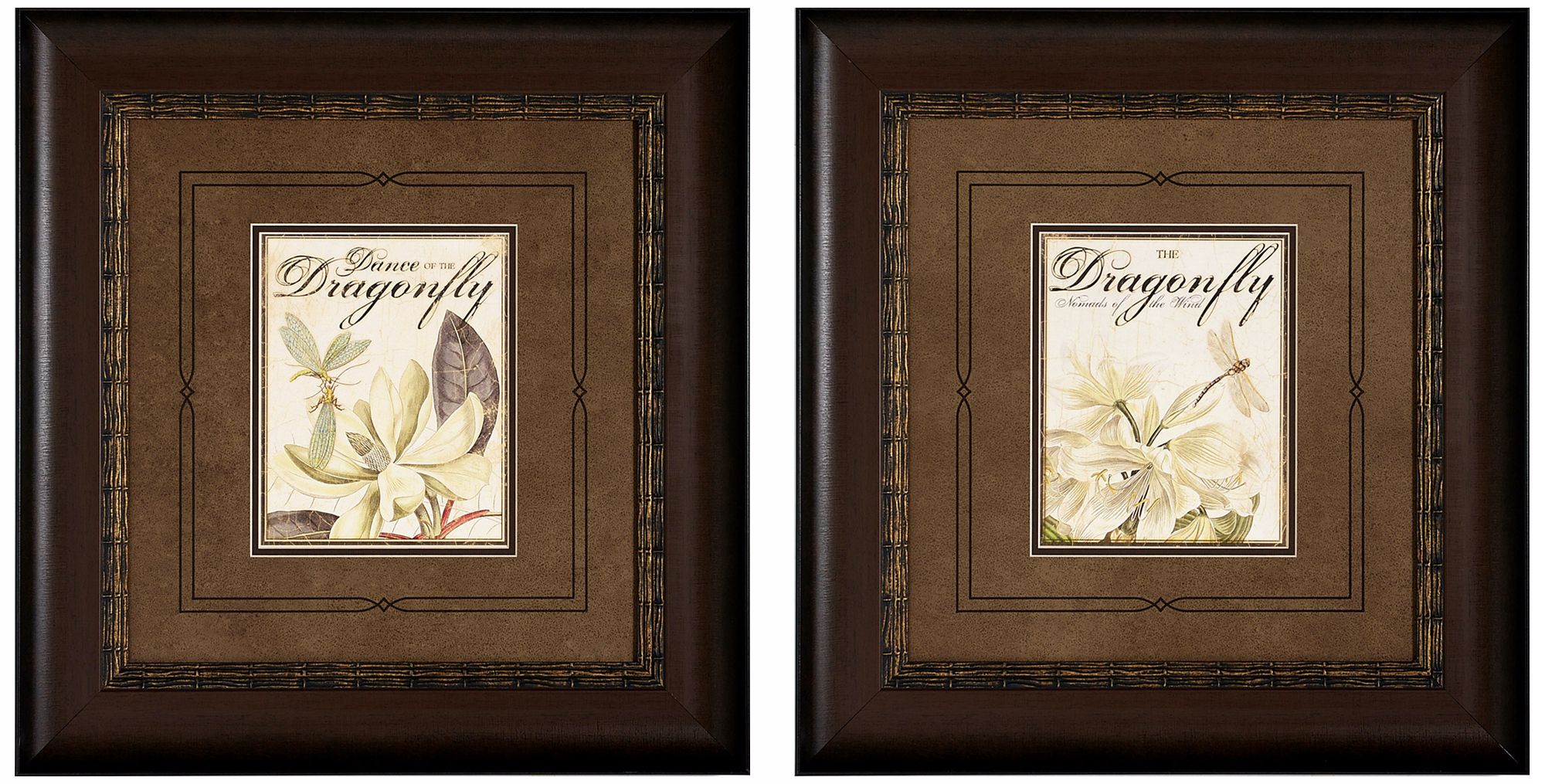 Dragonfly Artwork Framed