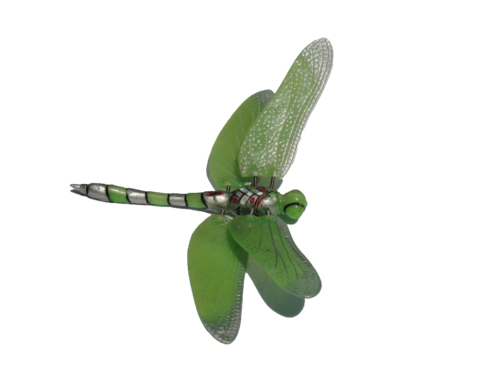 Dragonfly Clipart