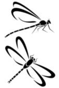 Dragonfly Drawings Free