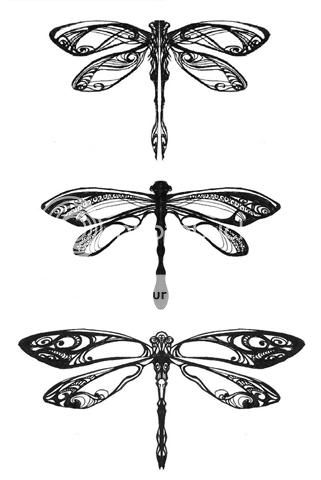 Dragonfly Drawings Tattoo
