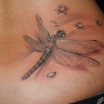 Dragonfly Tattoos Meaning