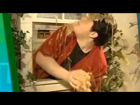 Drake Bell Drake And Josh Theme Song