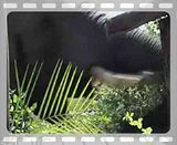 Dubai City Tour Video