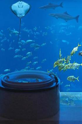 Dubai Hotel Room Underwater