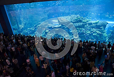 Dubai Mall