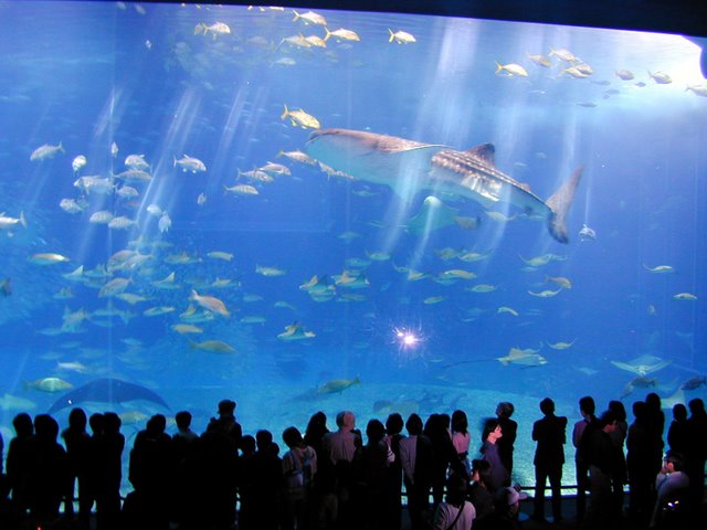 Dubai Mall