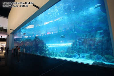 Dubai Mall Aquarium