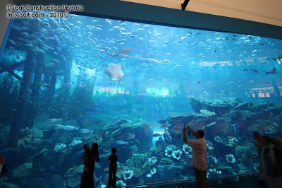 Dubai Mall Aquarium