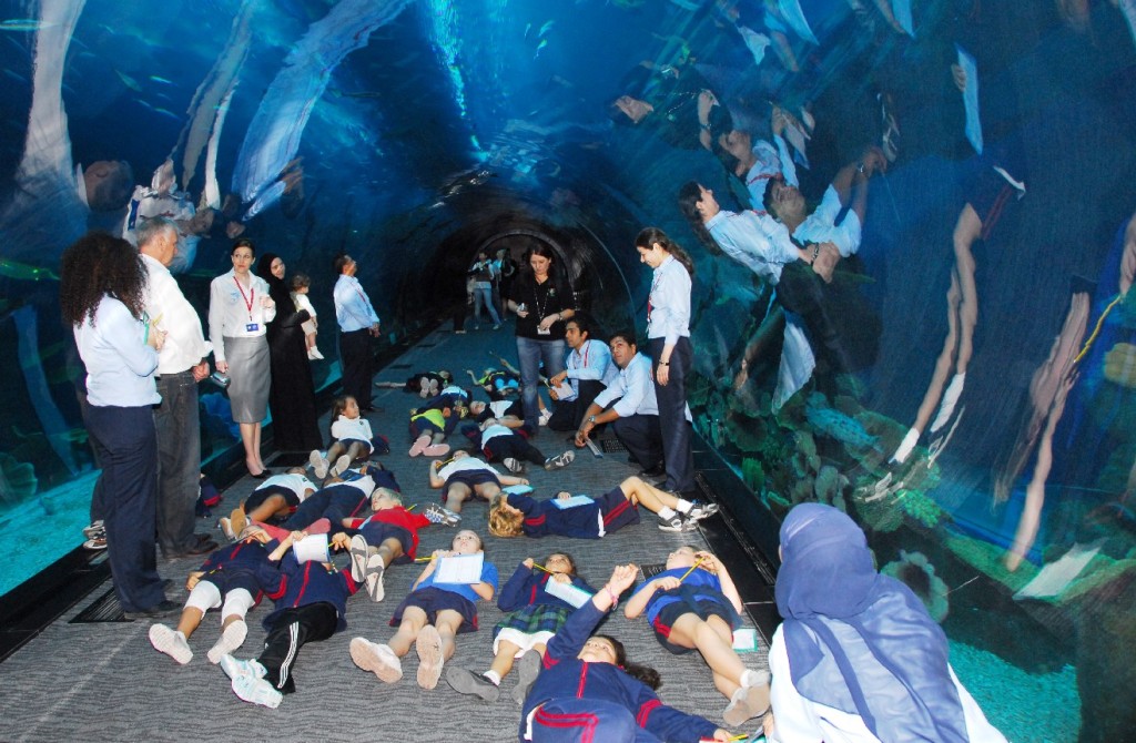 Dubai Mall Aquarium Crack