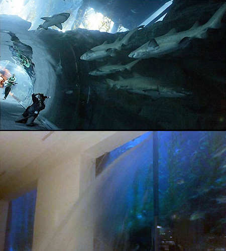 Dubai Mall Aquarium Leak