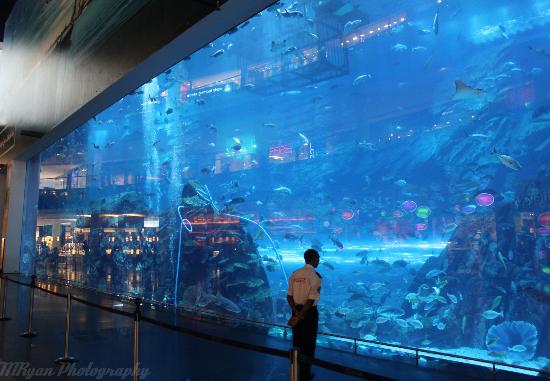 Dubai Mall Shops List