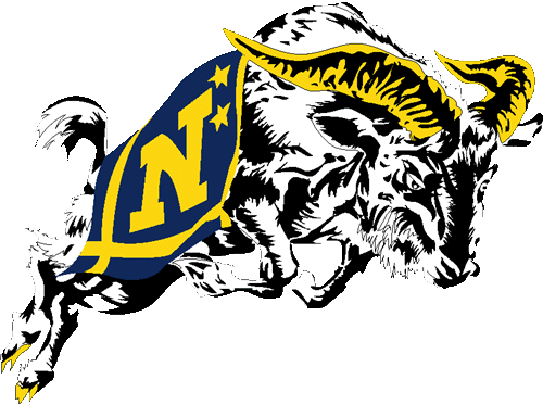 Fly Navy Logo