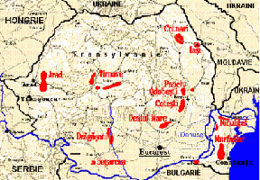 Indian Wine Industry Pdf