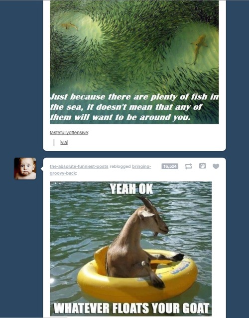 Ok Whatever Floats Your Goat